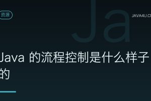 Java 的流程控制是什么样子的